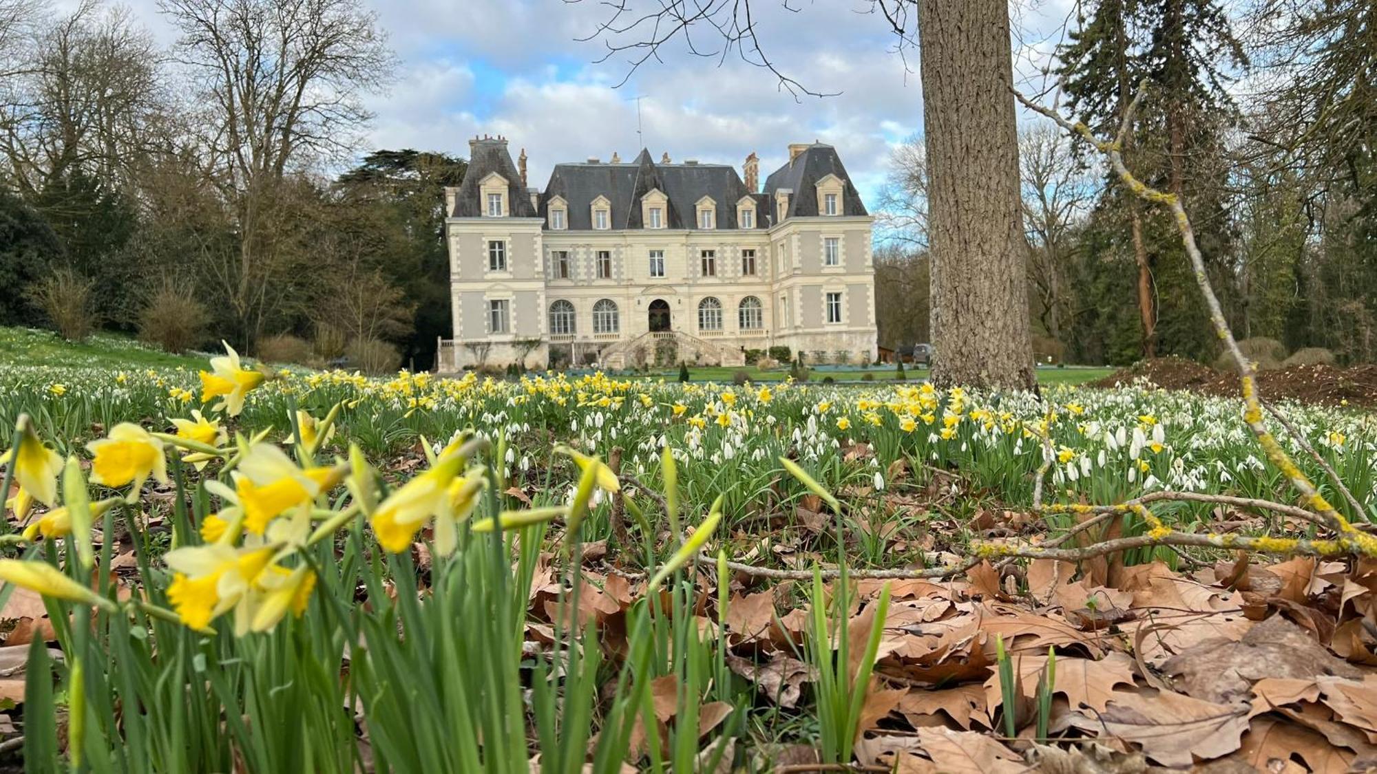 Chateau De Saint-Bohaire Exterior photo