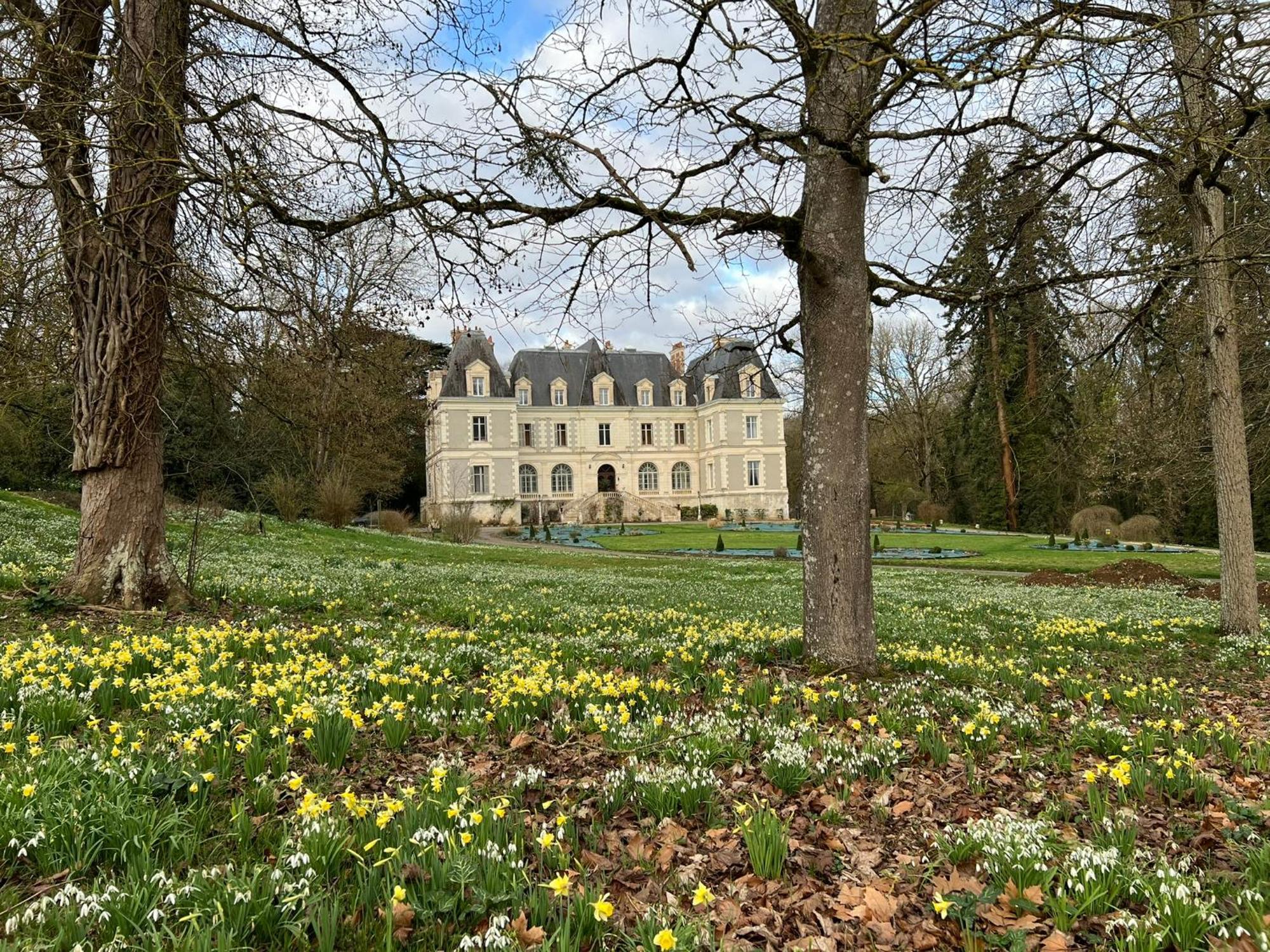 Chateau De Saint-Bohaire Exterior photo